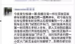 最新独家爆料新闻视频,最新爆料新闻视频背后的惊人真相